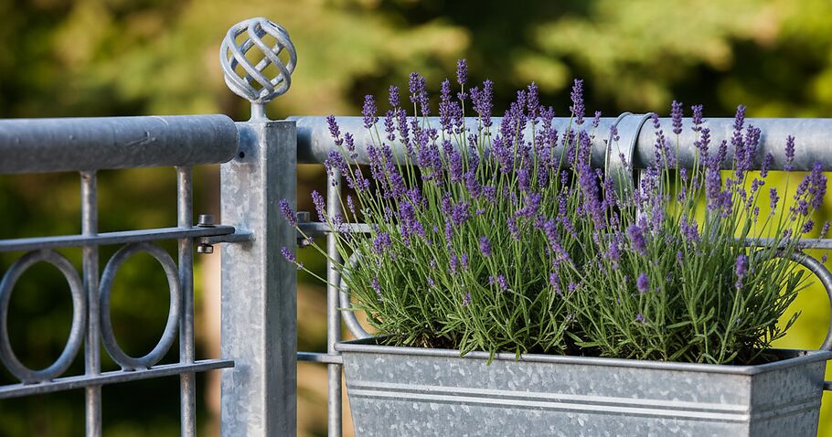 Blumenkästen am Balkongeländer befestigen – das sollten Sie beachten