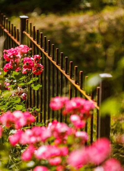 Zaun Padua unbeschichtet