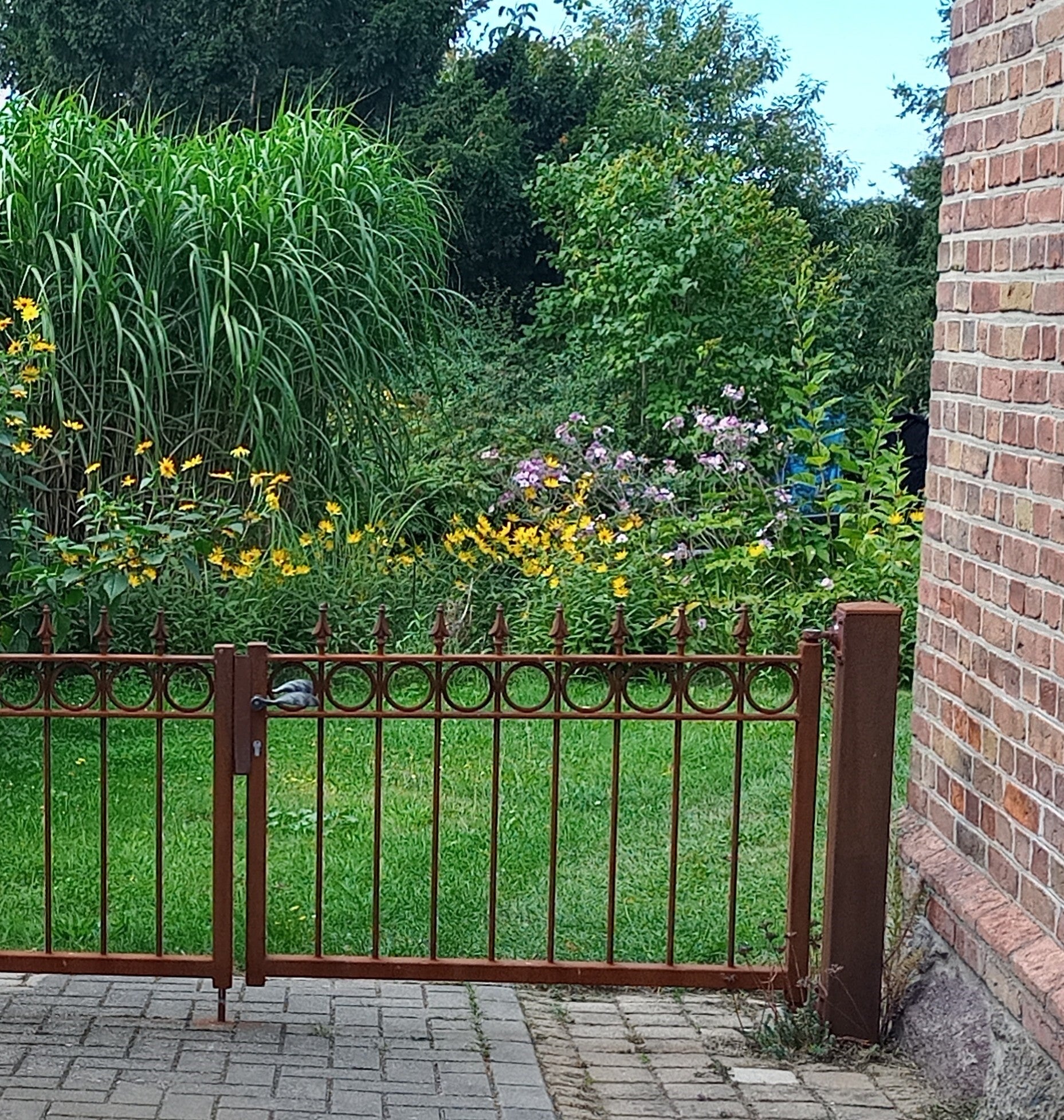 Tor Belluno vor einem Garten | Unbeschichtet