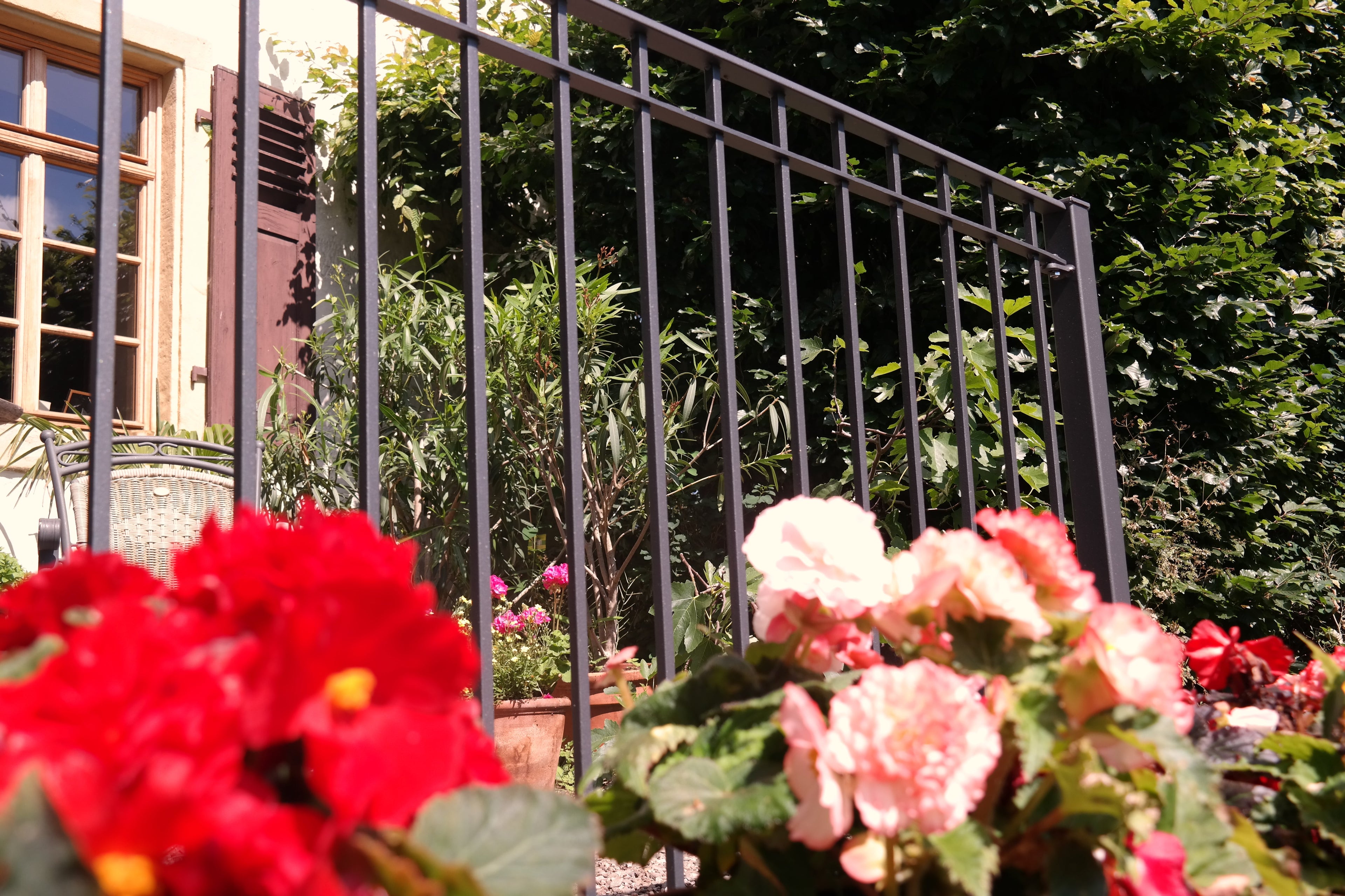 Geländer Padua an Terrasse vor grünen Bäumen | Pulverbeschichtet Anthrazit